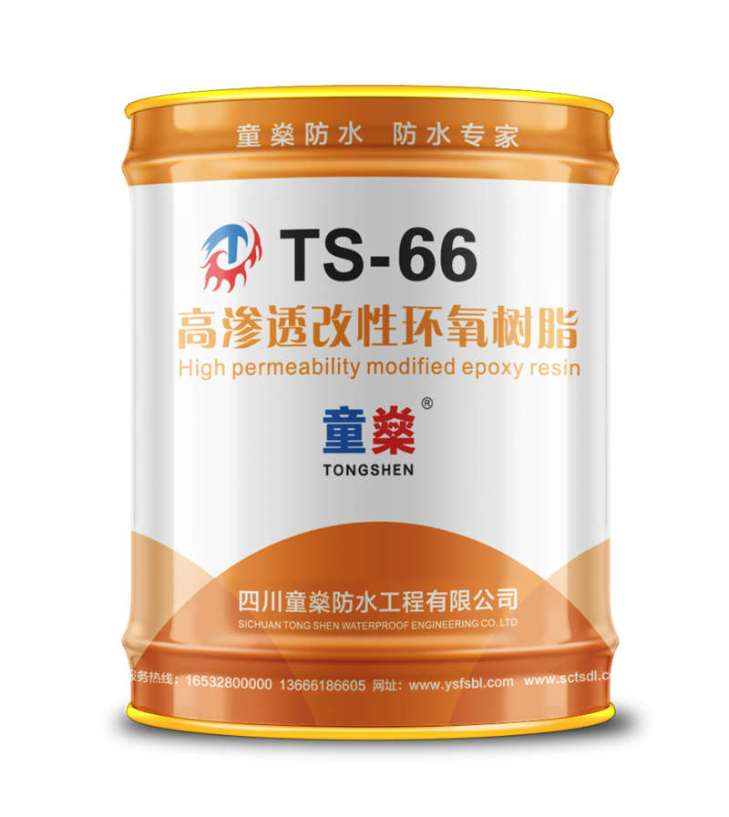 TS-66高渗透改性环氧树脂